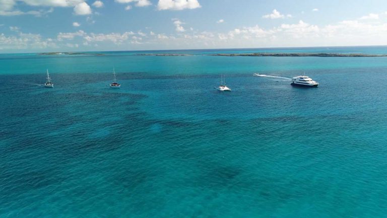 The All Star Liveaboard's Bahamas dive liveaboards. On the left the 2 Blackbeard's sailboats, the charter yacht Cat Ppalu and the dive liveaboard Aqua Cat .