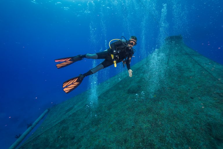A scuba diver swimming above the Cobia Cage in Eleuthera, Bahamas.