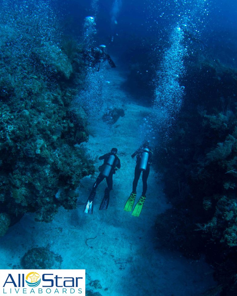 Divers off the liveaboard Aqua Cat on an Exumas reef