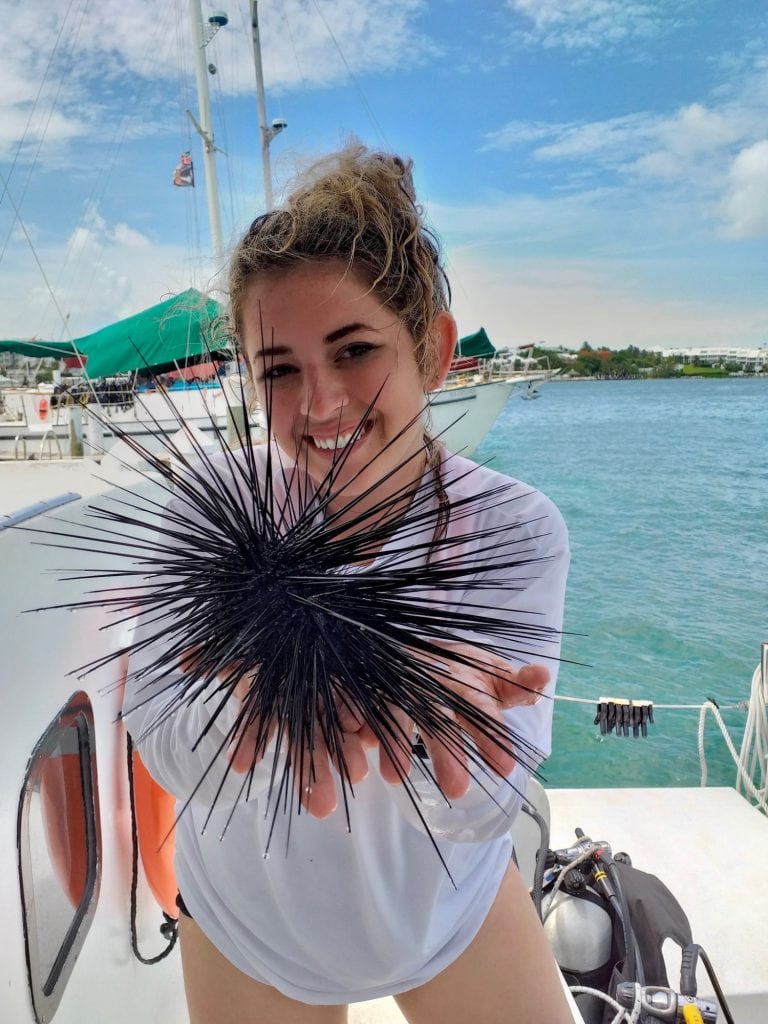 Citizen scientist Addie Benz holding a Diadema (long-spined sea urchin) on a Citizen Scientist Trip on the Cat Ppalu