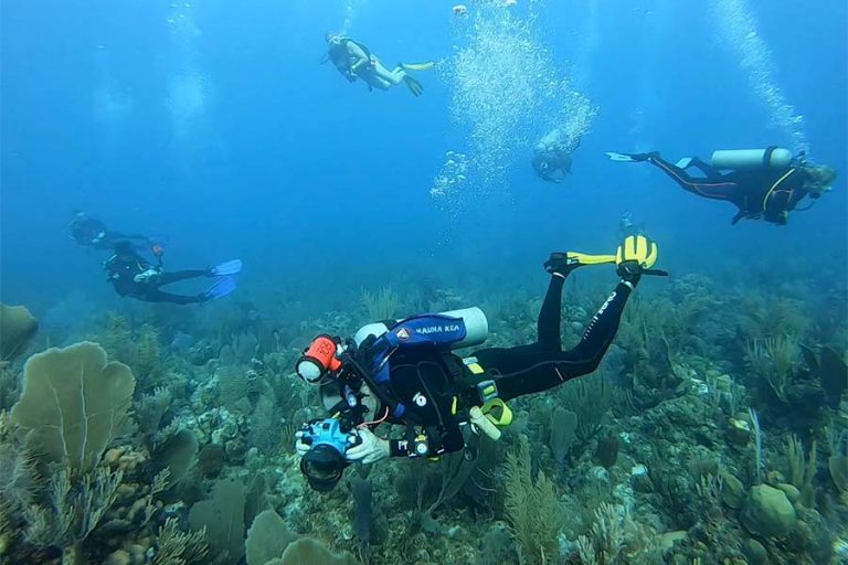 A group of divers off the Cuban scuba diving liveaboard All Star Avalon II on a reef in the Gardens of the Queen